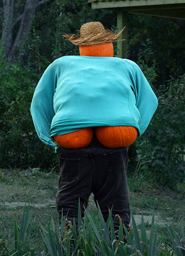 Full Moon Funny Halloween   A funny halloween card of a scarecrow mooning. | happy. halloween full moon pumpkin scarecrow  You know its Halloween when you see a full moon.